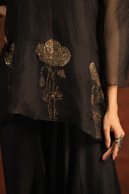 SummerFalling-Black Embellished Organza Silk Co-ord Sets