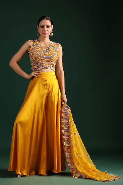SummerFalling-Amber Yellow Embellished Cape Set